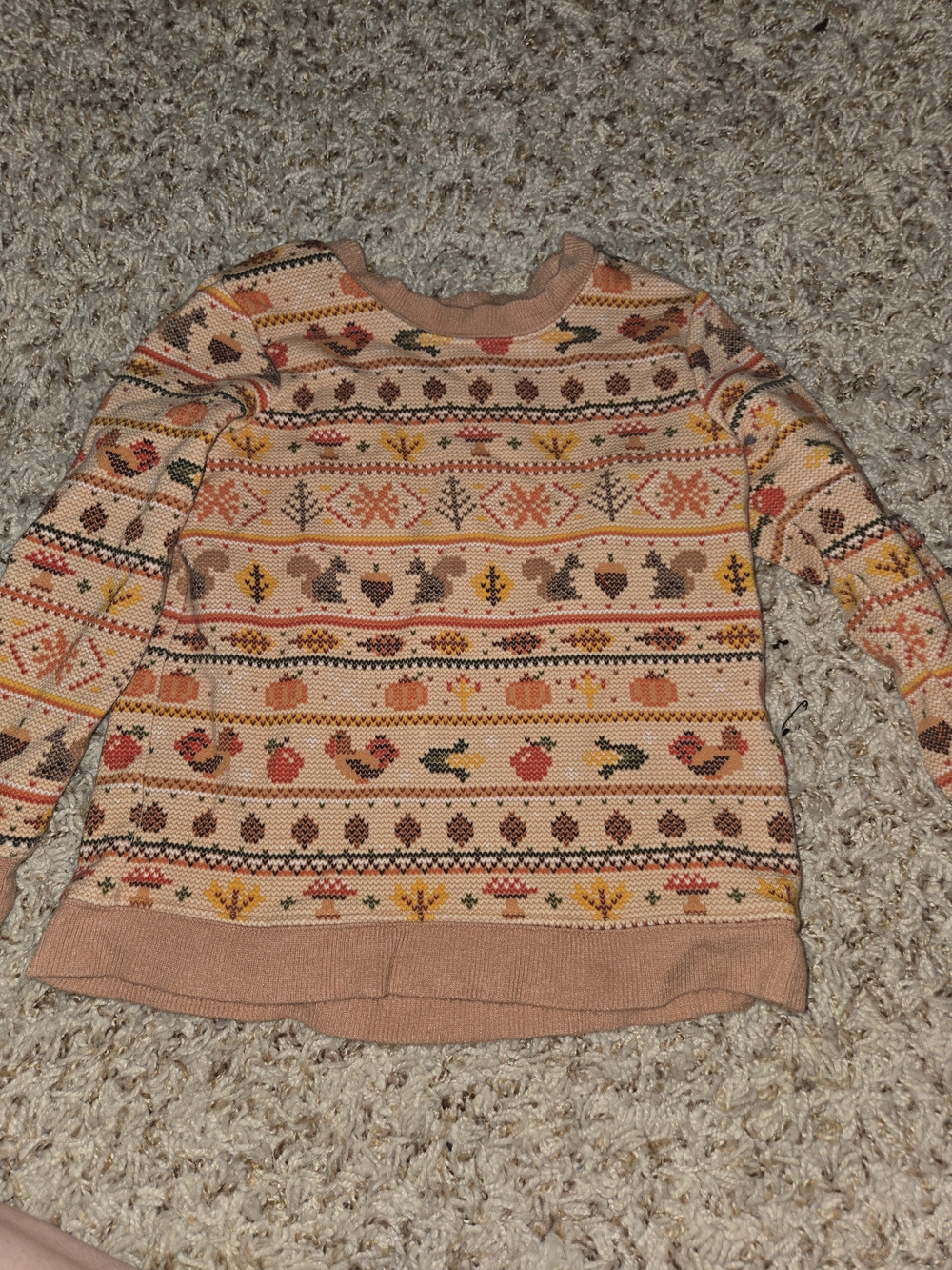 Little Sleepies Peach and Rust Autumn Motif Crewneck Sweater